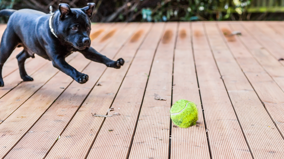 ガーデンテラス